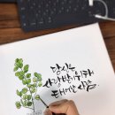 캘리그라피 B 이미지