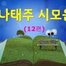 [시낭송모음]#나태주시모음_풀꽃# 자세히 보아야 예쁘다#(낭송:봉경미/음악:손방원팬플룻외) 이미지