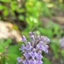 송정마을 이미지