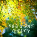 한산일출님. 이미지
