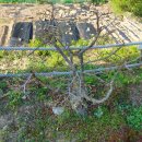 선애황토방 이미지