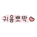 카페스위키