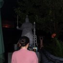 대룡산길 이미지