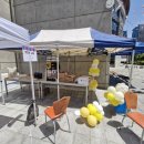 강진상사 이미지