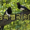 가슴 속 別曲 (별곡) 이미지