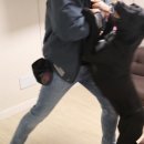 세이브독 이미지