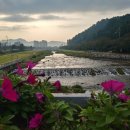 노령주유소 이미지