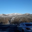 오늘의 생선 이미지