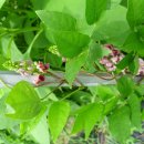 산내들농장 이미지