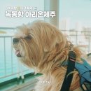 비봉로L | 강아지와 배 타고 제주, 녹동항 아리온제주 애견동반 선적 후기