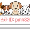 이쁘개 아름답개 이미지