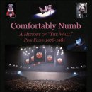 Comfortably numb - Pink Floyd 이미지