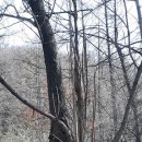 오동농장 이미지