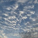 도안중로 이미지