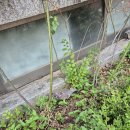 소비쿠폰신청해요 이미지