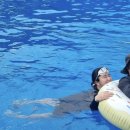 홍산관광농원 이미지