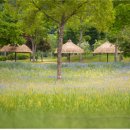 사과나무약국 이미지