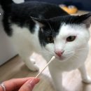 벳츠라이프 이미지