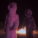 The Last Of The Real Ones / Fall Out Boy 이미지