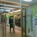 에코 플랜테리어 수경재배 이미지