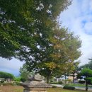 자인초등학교 이미지