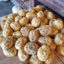 신샘밭로2 이미지