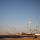 대부도방아머리 이미지