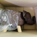 세뇨르킴 이미지