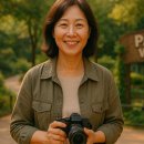🐼 50대 혼자 떠난 판다월드 여행 후기｜에버랜드 혼자 여행, 불안함보다 자유로움