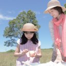 해피버스데이 이미지