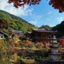 가을탐방(성인) 이미지