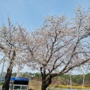 함안 월촌초등학교- 학교숲을 활용한 생태환경 교육 이야기1 이미지