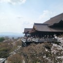 세븐일레븐과천산과들점 | 오사카 벚꽃 여행 코스 6박 7일 | 간사이 일정 총정리 (교토·나라·요시노산)