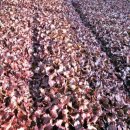 범용농장 이미지