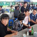 업성초등학교 이미지