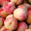 치우농장 이미지