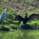 고골낚시터 이미지