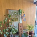 한그루양과점 | [명지카페] 한그루 양과점 브런치 & 수플레 후기