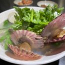 백합집