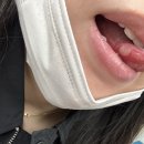 (주)어스텝퍼더 | 임신초기 ~막달, 임산부 필수템 &amp; 꿀팁 공유(어플,증상,검사,영양소,화장품 등🤎)