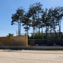 청라 문화3공원(정서진공원) 배드민턴장 | [인천 서구] 영종대교휴게소 기념관