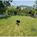 동백 숲속애견랜드 이미지