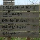 와보랑께박물관 이미지