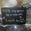 애견미용실 | 동탄 애견미용실 머즐 후기 ｜스트레스 적은 가위컷·강아지미용 잘하는 곳 내돈내산