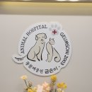 동물제중원금손이동물병원