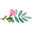 송주불냉면&수제왕돈까스 이미지