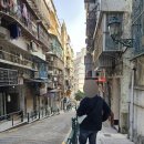 반도 | 6살 아이랑 마카오 반도 여행 후기 │성 베드로 성당 · 세나도광장 · 몬테요새 + 스튜디오시티 무료...