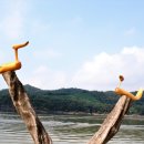 호애농장 이미지