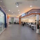 아메리칸스템프렙 이미지