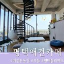 둘리애견 | 평택애견카페 둘리펫츠 푸들이 놀기 좋아